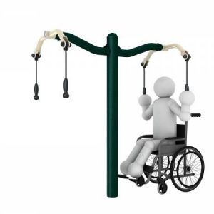 Arm Extension Apparatus