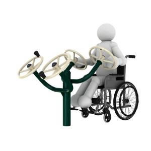 Taiji Wheel 2